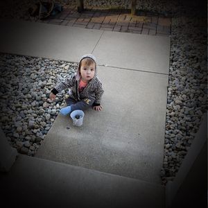 Meet your Posher, Rose